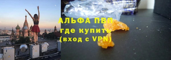 прущие грибы Бугульма